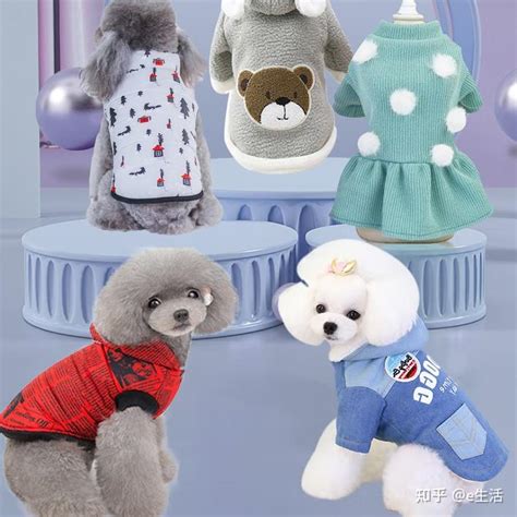 動物品牌衣服|2024 熱門狗狗衣服品牌報你知，狗狗衣服推薦清單一覽無遺